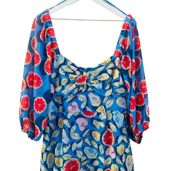 Hutch X ModCloth NWT Amorous Ambrosia Tiered Fruit Colorful Maxi Dress Size 12 - Picture 7 of 10